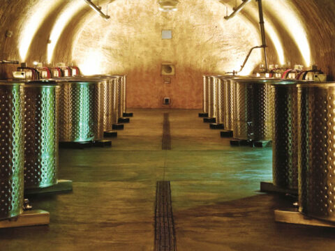 Stainless steel fermentation tanks in arched wine cellar