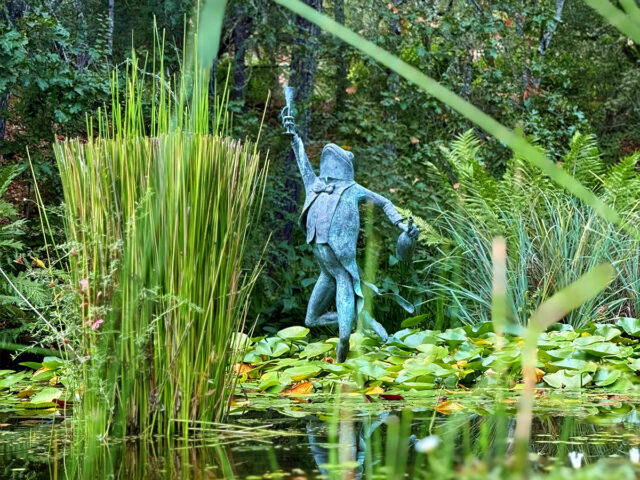 Bronze frog statue in lush garden pond