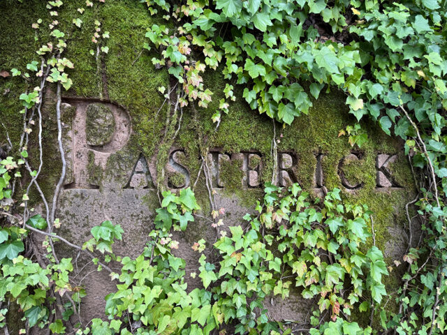 Ivy-covered stone wall engraved with Pasterick