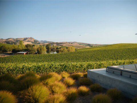 Rolling vineyard hills with modern patio seating