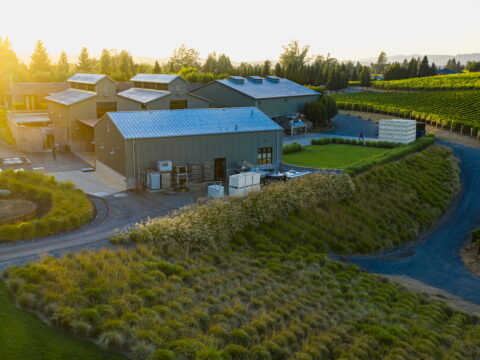 Aerial view of winery and vineyards at sunset