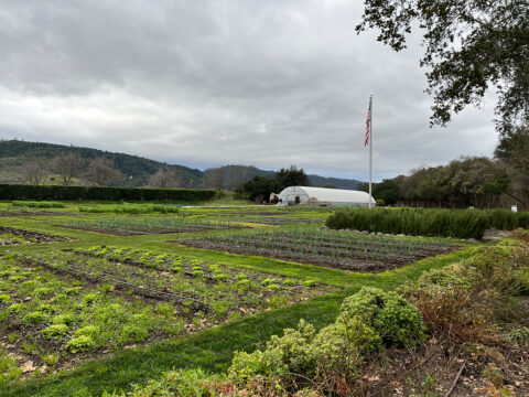 Organic farm fields with greenhouse and American flag