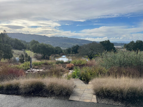 Stone path leading to pond and rolling hills