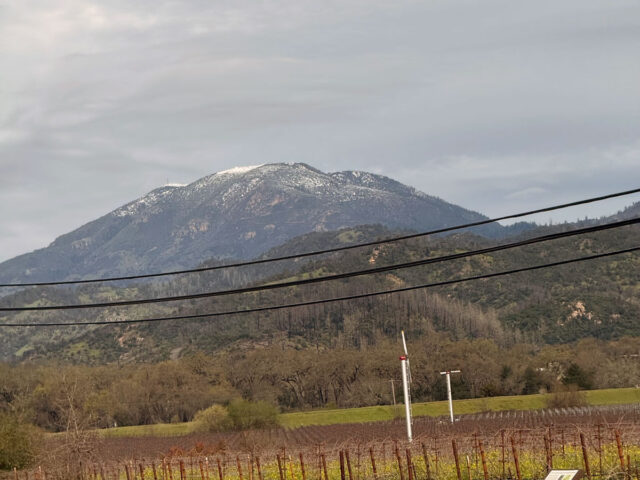 Snow-dusted mountain above rural vineyard landscape