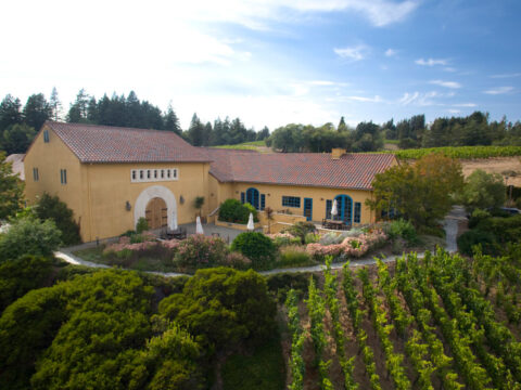 Mediterranean-style winery surrounded by lush vineyards