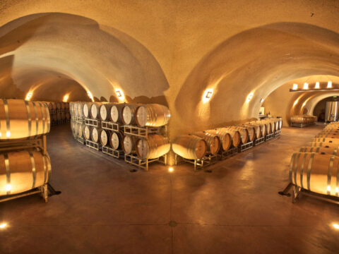 Wine barrels in arched underground cellar