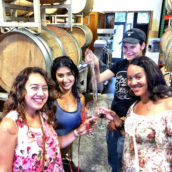 Napa Valley and Sonoma Barrel Tasting