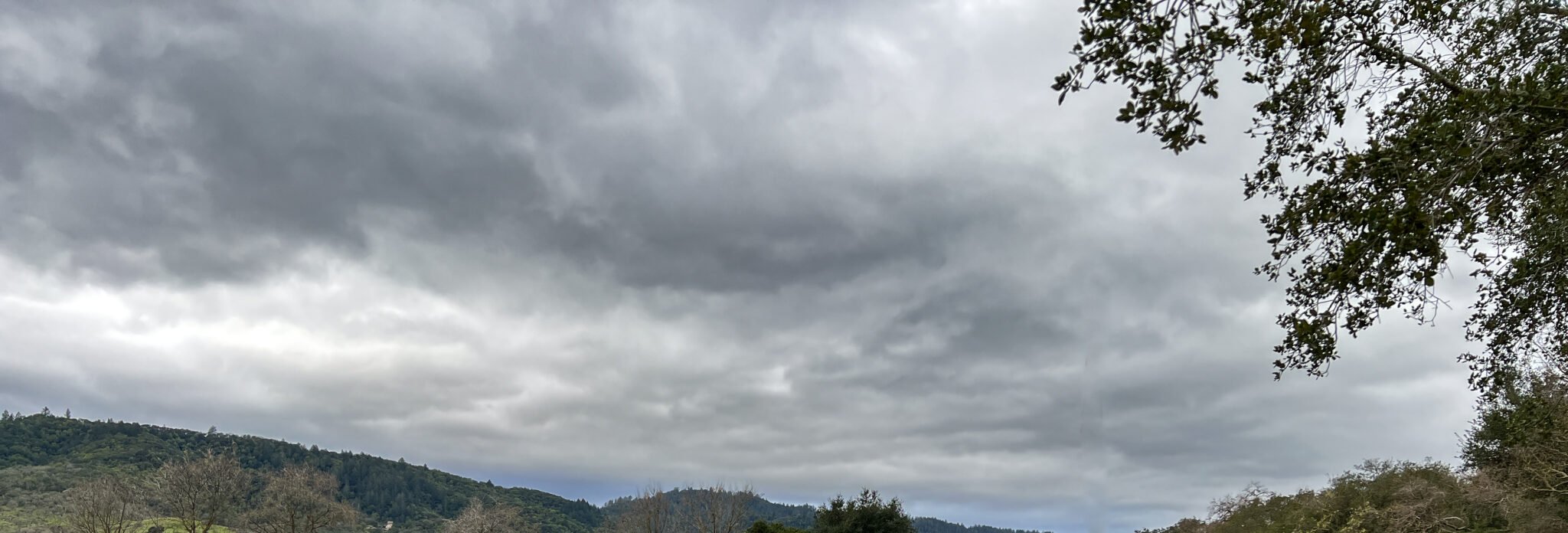 dark January sky over Napa Valley