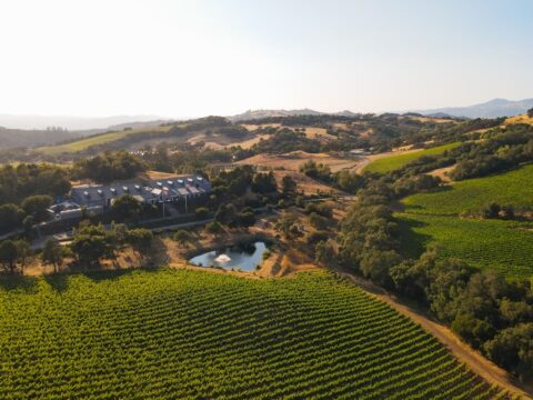 Aerial view of vineyard and winery at sunset