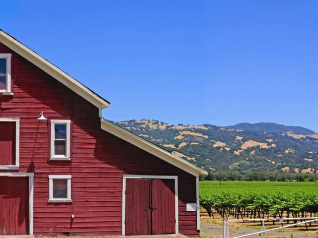 Red barn beside vineyard with hills and blue sky