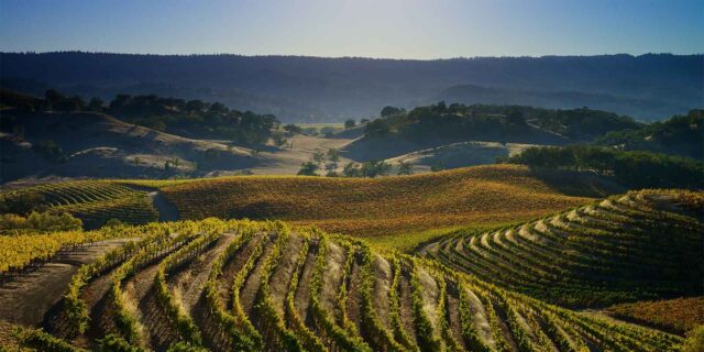 sd-region-rutherford