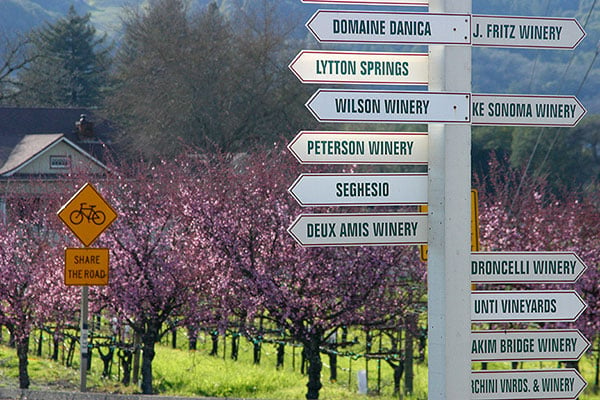 Sonoma Wine Tours Drycreek 