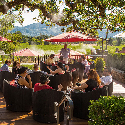 Table Service Wine Tasting