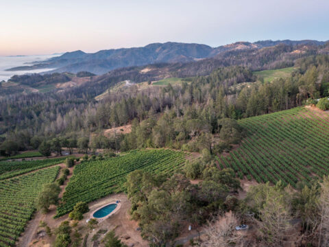 Aerial view of vineyard on rolling hills