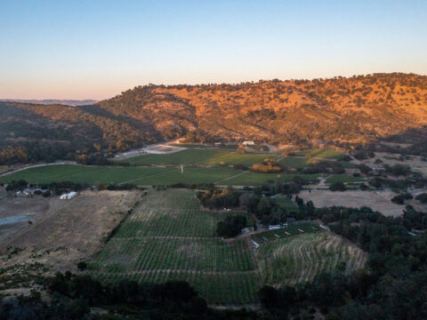 Aerial view of farmland at sunset