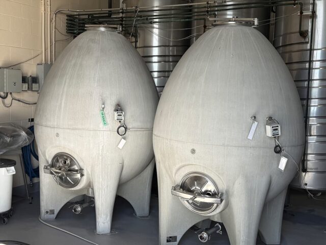 Two large egg-shaped fermentation tanks indoors