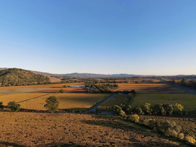 Aerial view of vineyards and farmland at sunset